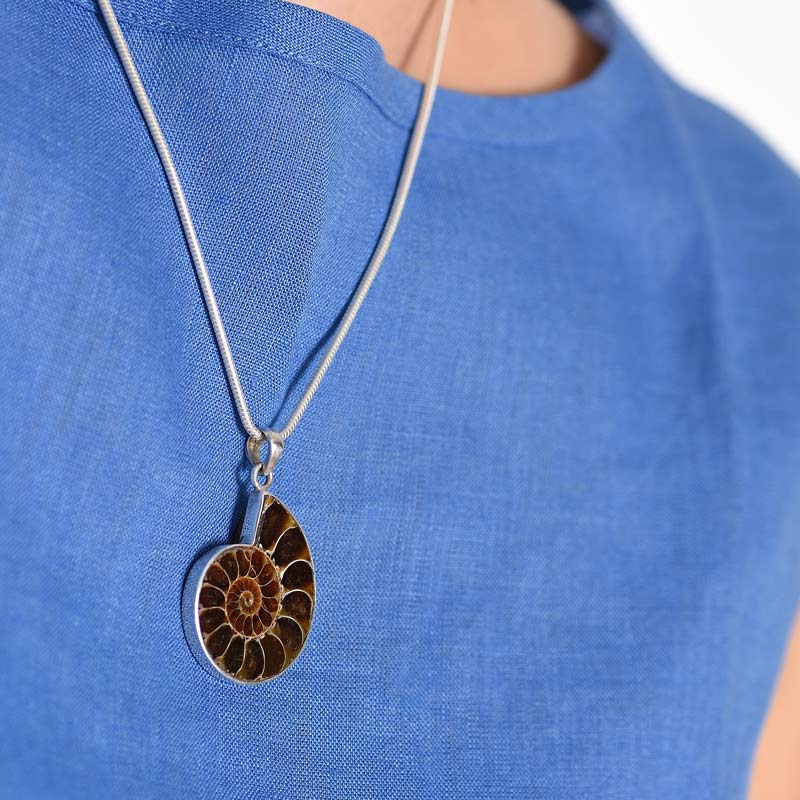 Ammonite with Silver Pendant - Image 2