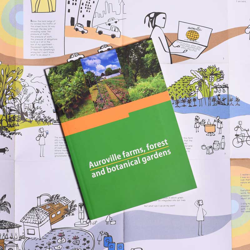 Auroville farms, forest and botanical gardens - Image 3