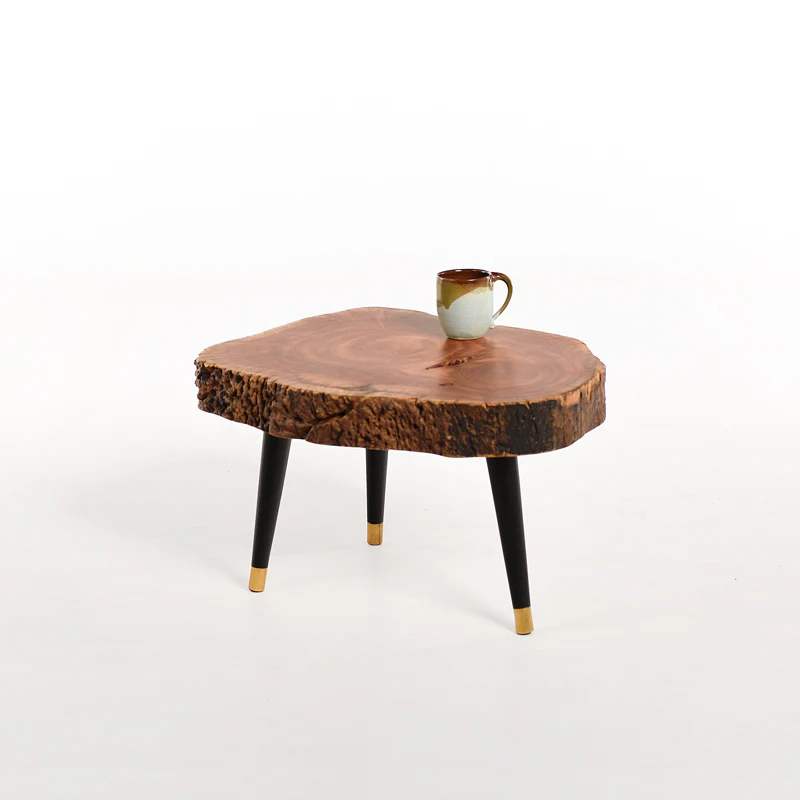 Bi Fold (Conversation Series)-Combo - Image 12