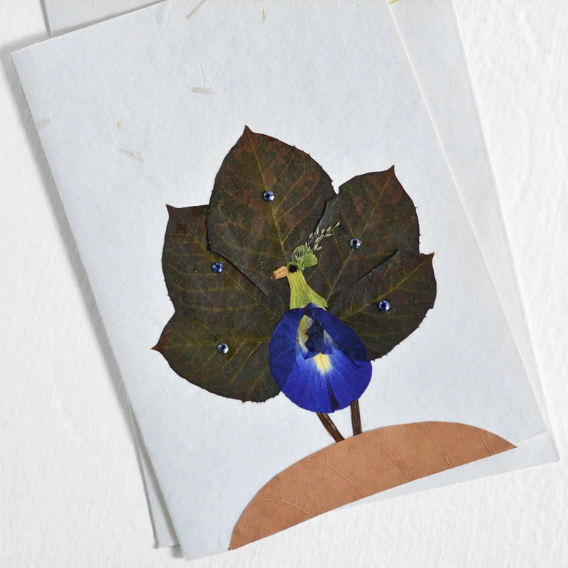 Bird Cards Collection - Image 3