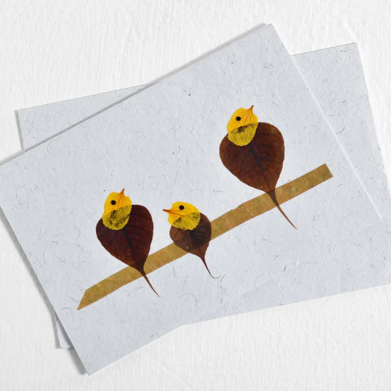 Bird Cards Collection - Image 4