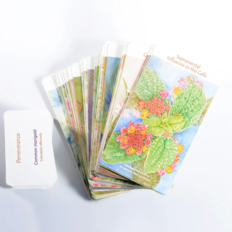 BloomO! The Flower Card Game - Image 4
