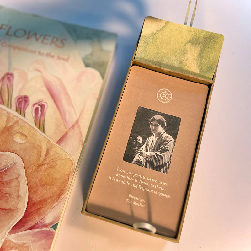 BloomO! The Flower Card Game - Image 6