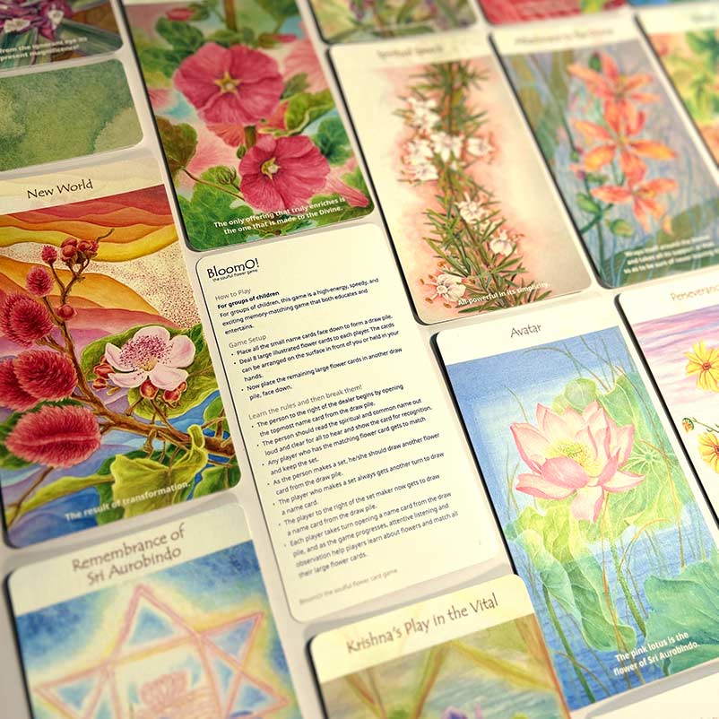 BloomO! The Flower Card Game - Image 9
