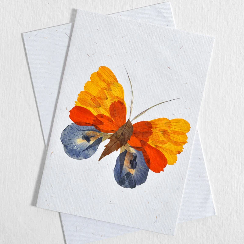 Butterfly Cards Collection - Image 2