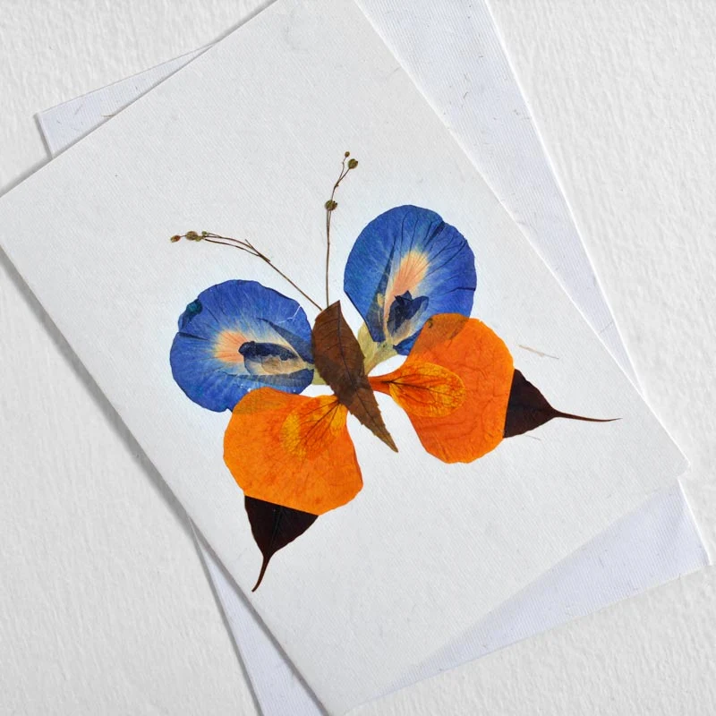 Butterfly Cards Collection - Image 3