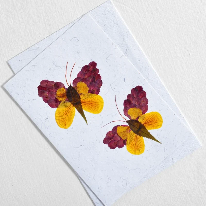 Butterfly Cards Collection - Image 4