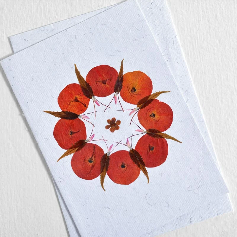 Butterfly Cards Collection - Image 5