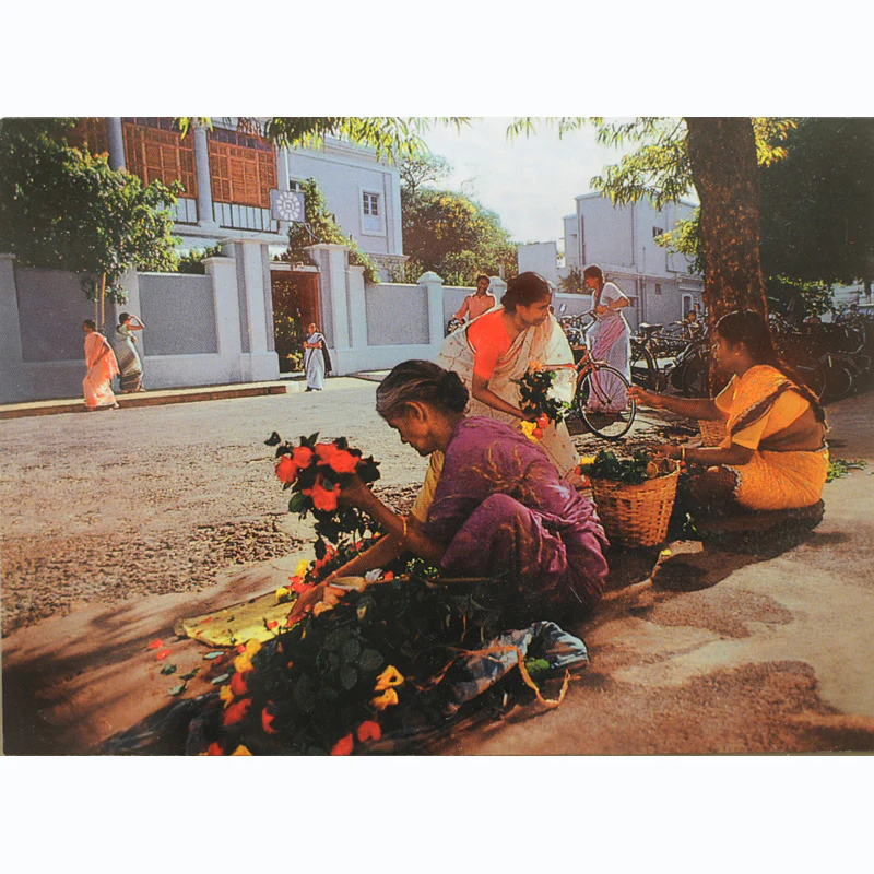 Colours and Sentiments (Set of 10) - Image 10