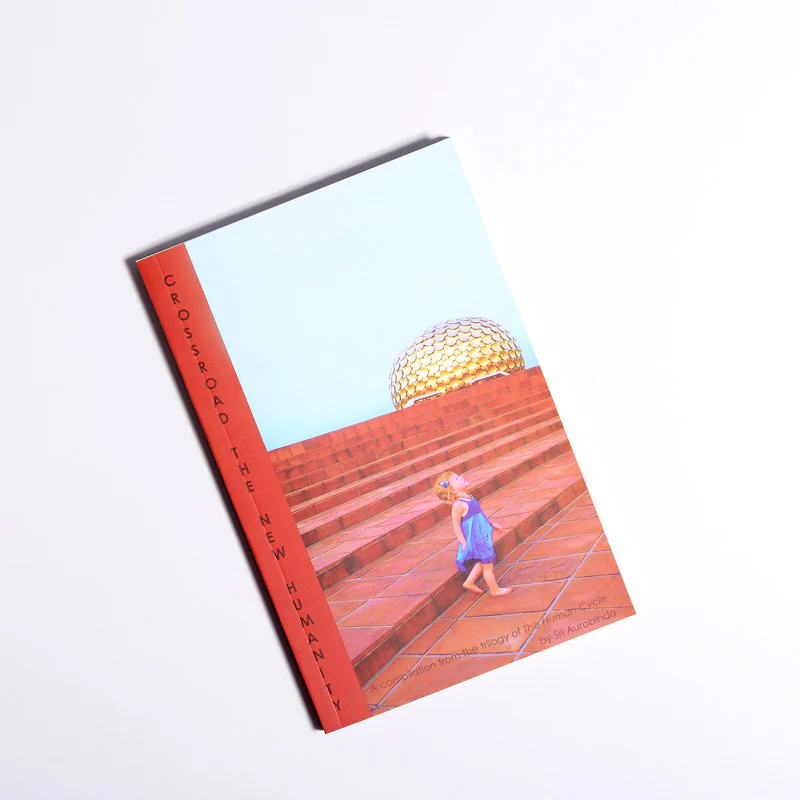 Crossroad: A New Humanity by Paulette Hadnagy - Image 2