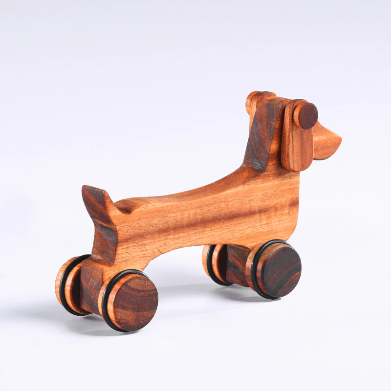 Dog Dachshund - Image 3