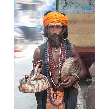 Ekla Cholo Re (Set of 10) - Image 10