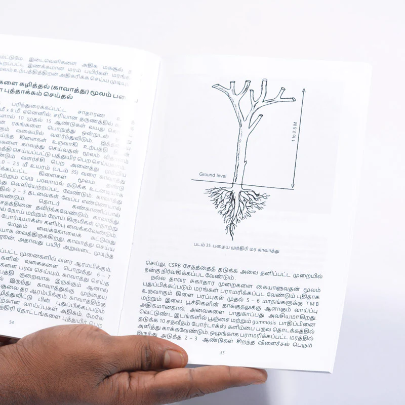 Hand Book on Organic Cashew Cultivation - Image 4