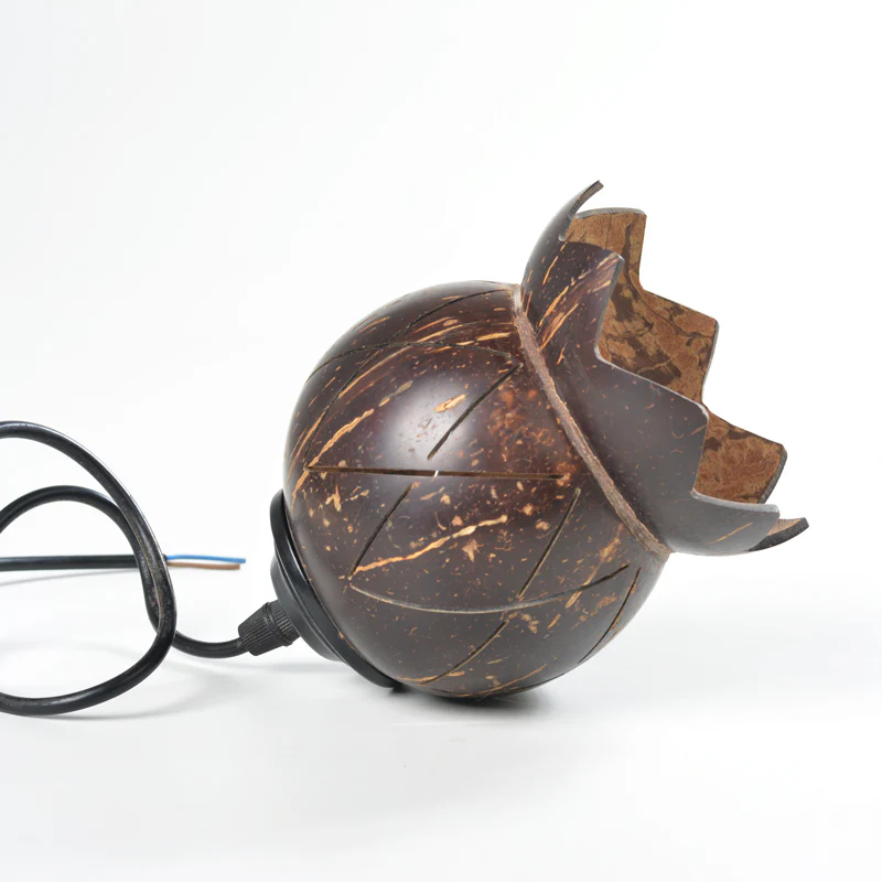 Coconutshell Hanging Lamp - Image 2
