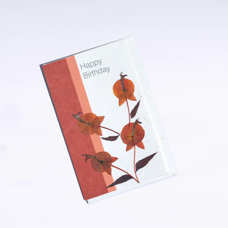 Happy Birthday Cards (Set of 4) - Image 4