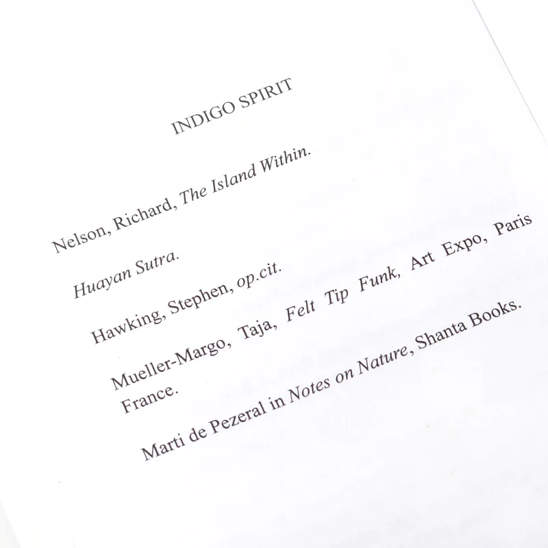 Indigo Spirit - Image 4