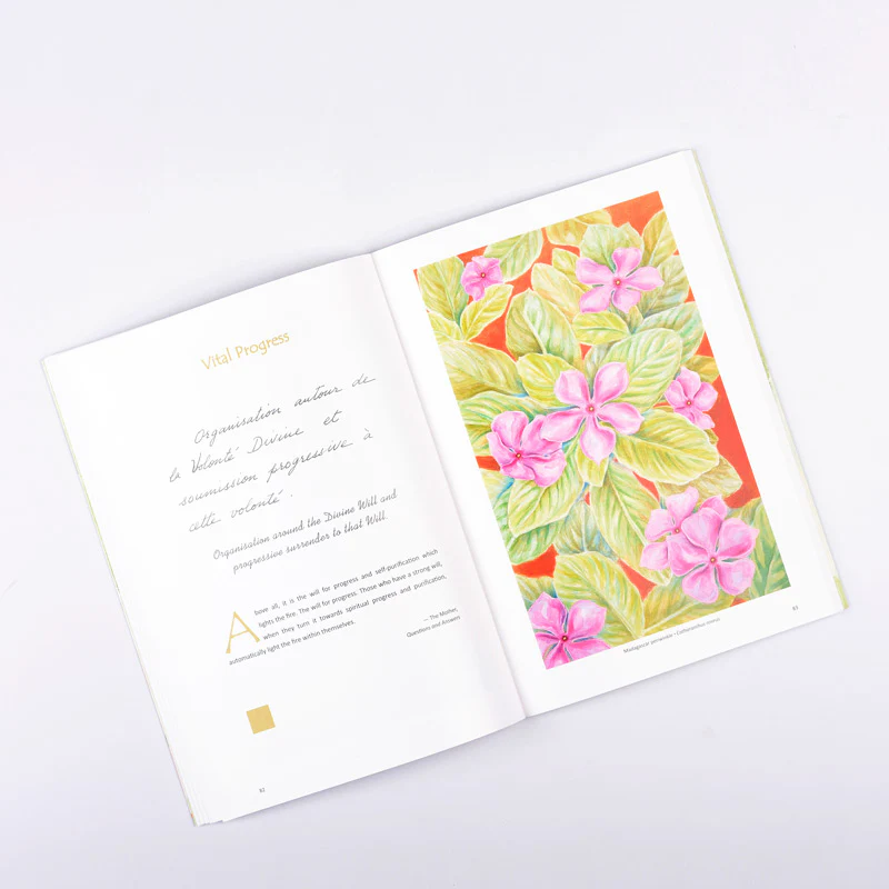 Joyful Companions to the Soul - Image 2