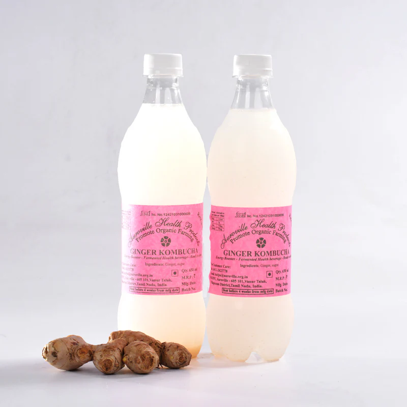 Kombucha - Health Drink 650 ml - Image 11