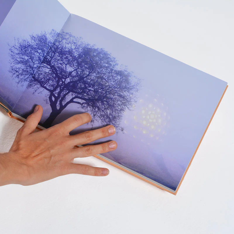 Matrimandir - Moments in Eternity - Image 4