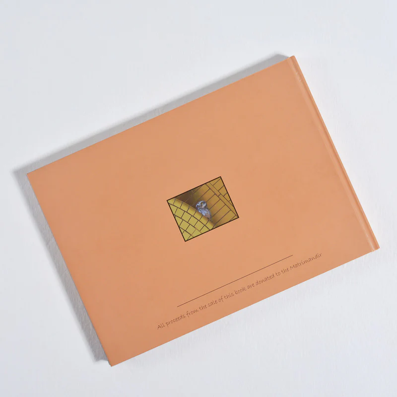 Matrimandir - Moments in Eternity - Image 6