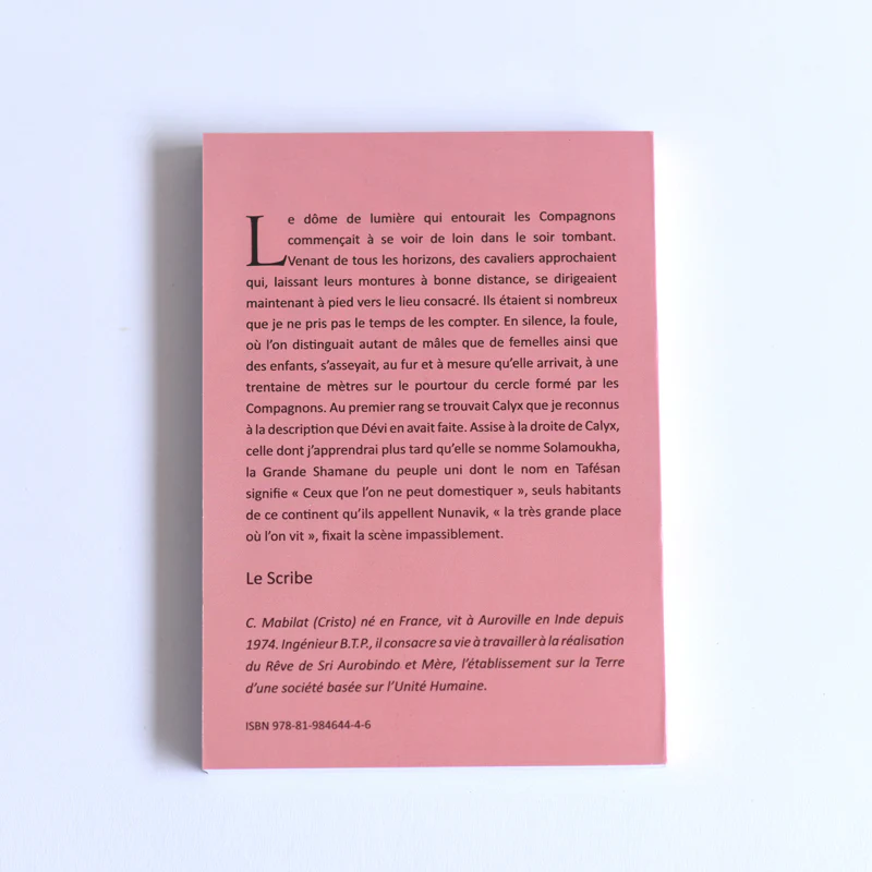 Mémoire d'un autre Monde - Tome II - Renaissance - Image 7