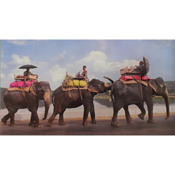 Movement (Set of 10) - Image 2