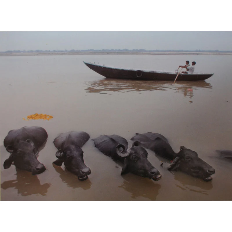 Movement (Set of 10) - Image 3