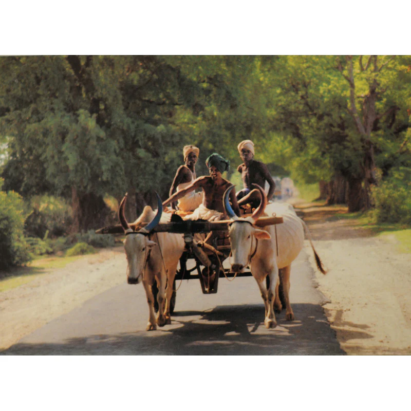 Movement (Set of 10) - Image 5