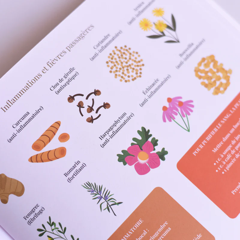 Prendre soin de soi avec l'Ayurveda - Image 6