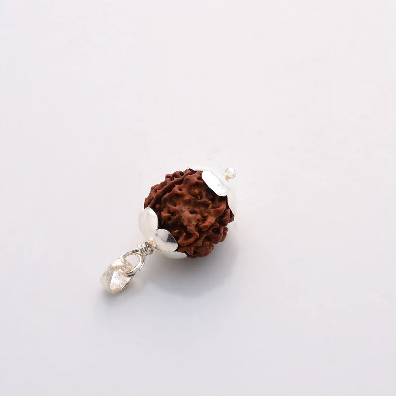 Rudraksha Five Face with Silver Pendant