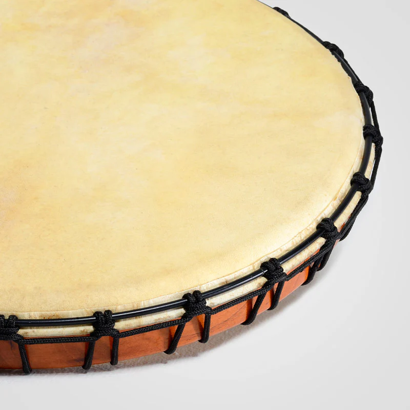 Tamte - Image 4