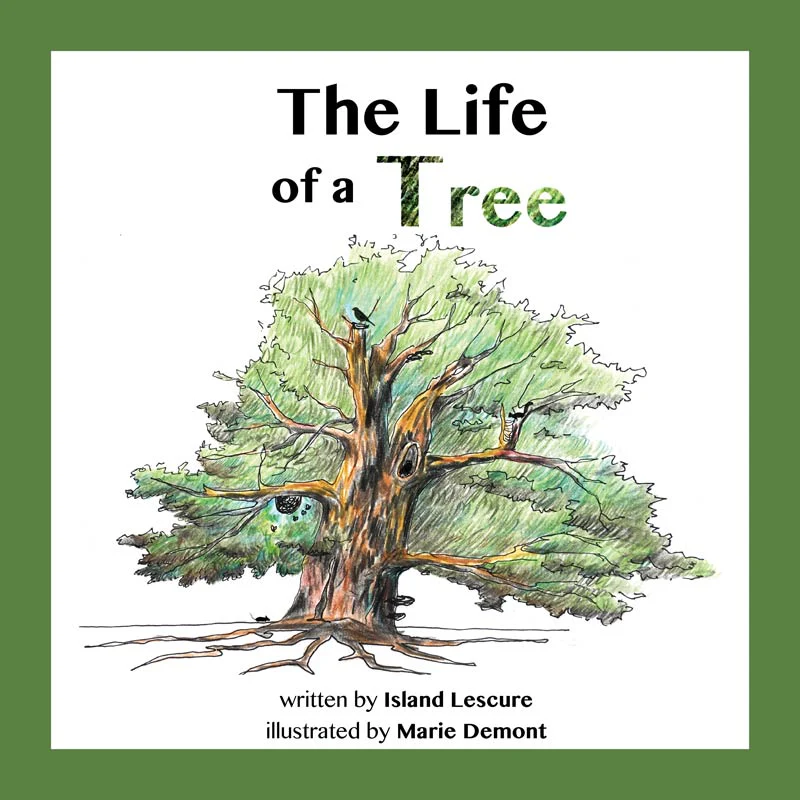 The Life of a Tree - Image 5