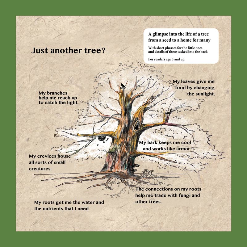 The Life of a Tree - Image 6