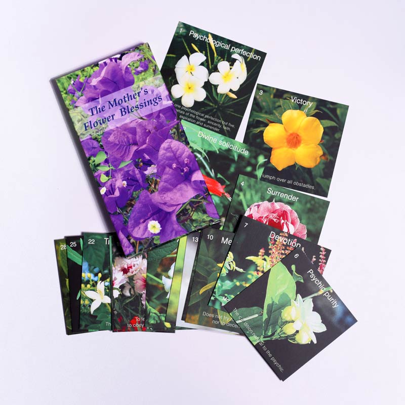 The Mother's Flower Blessings - Image 3