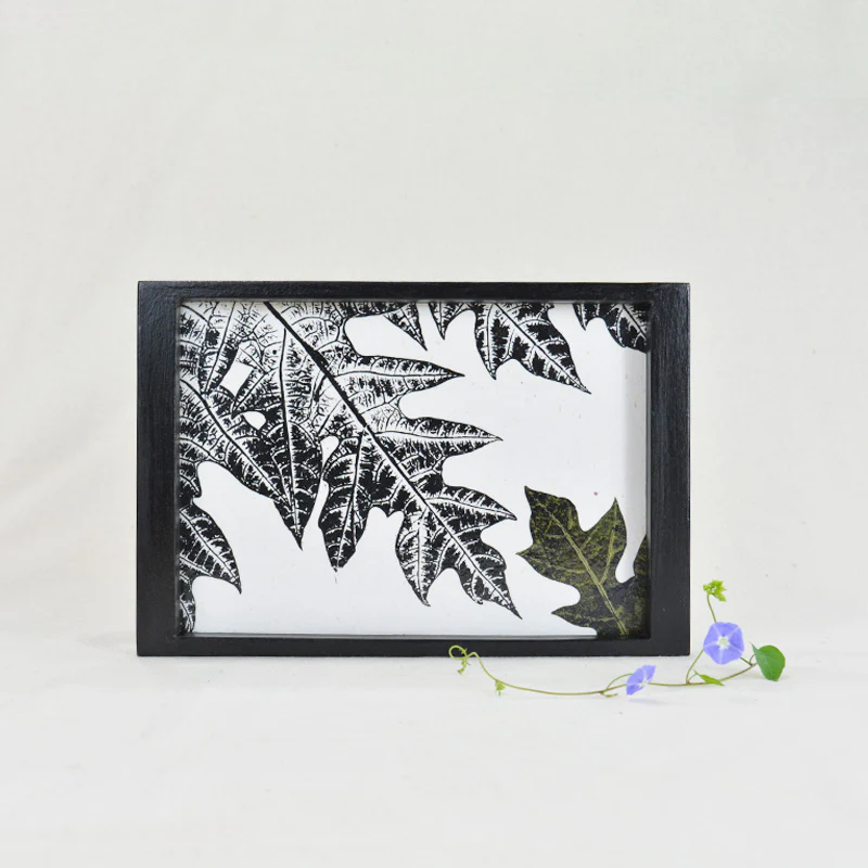 Tray- Carica Papaya - Image 2
