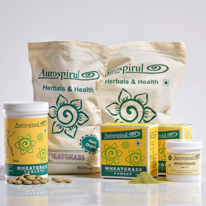 WHEATGRASS - CERTIFIED ORGANIC - Image 2
